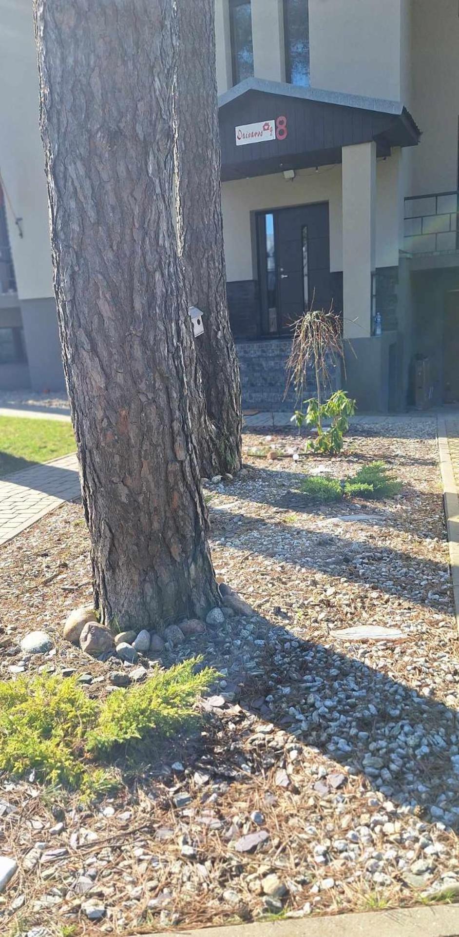 Dainavos Apartamentai دروسكينينكاي المظهر الخارجي الصورة